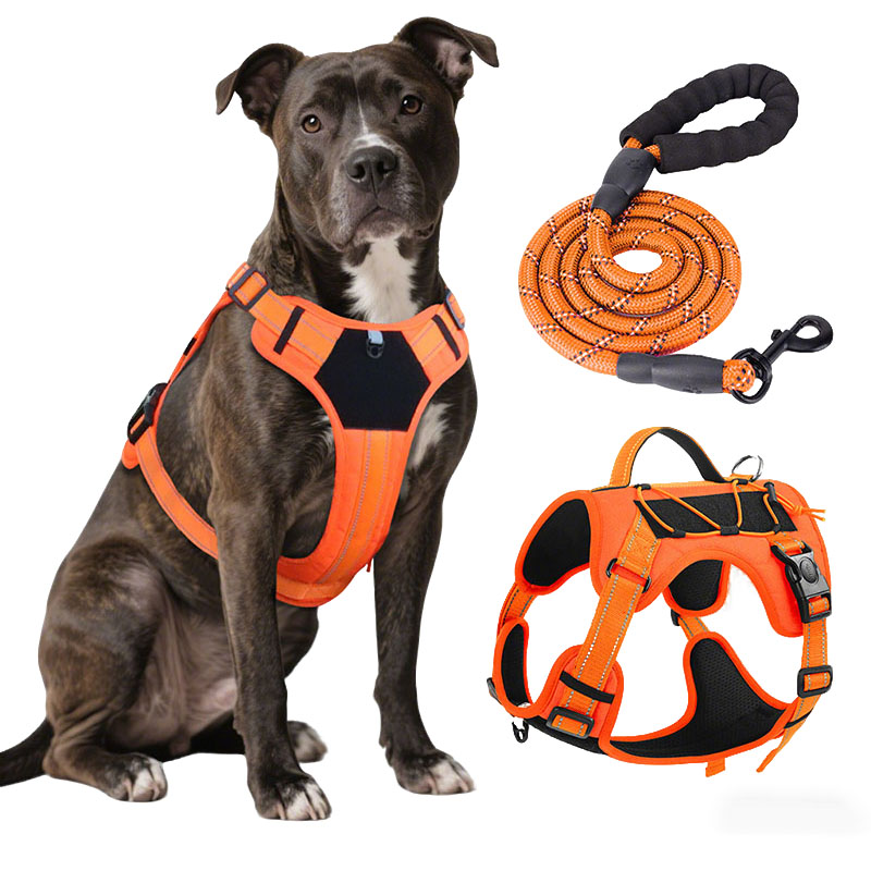 Swing Seat Belt - Dog Harness and Leash Set for
