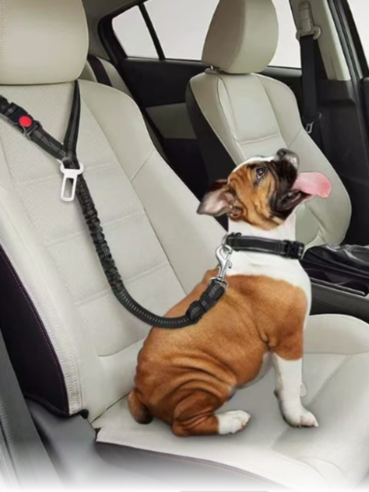 Adjustable Pet Dog Car Seat Be - Swing Seat Belt recensie en prijs