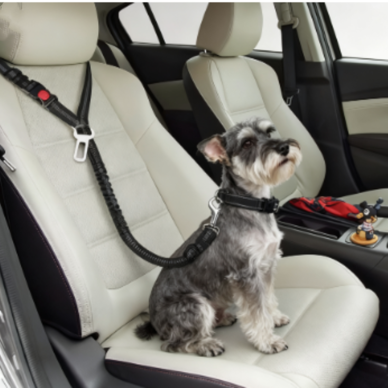 Adjustable Pet Dog Car Seat Be - Swing Seat Belt recensie en prijs