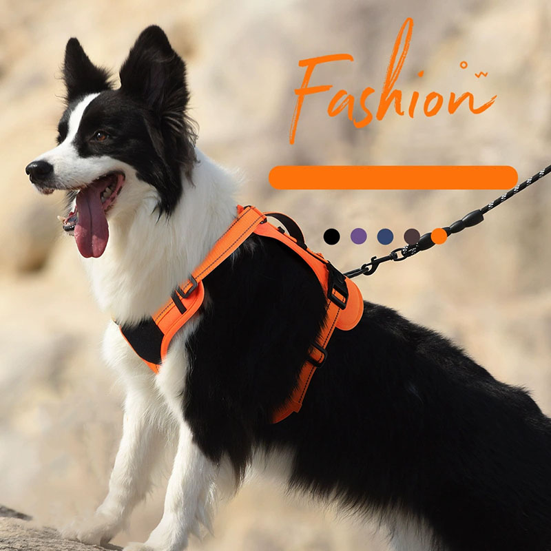 Dog Harness and Leash Set for  - Swing Seat Belt recensie en prijs