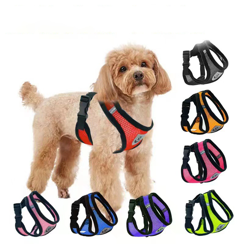Hot summer small dog pet chest - Mini Trampoline Spring recensie en prijs