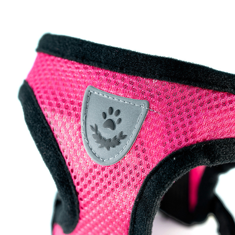 Hot summer small dog pet chest - Mini Trampoline Spring recensie en prijs