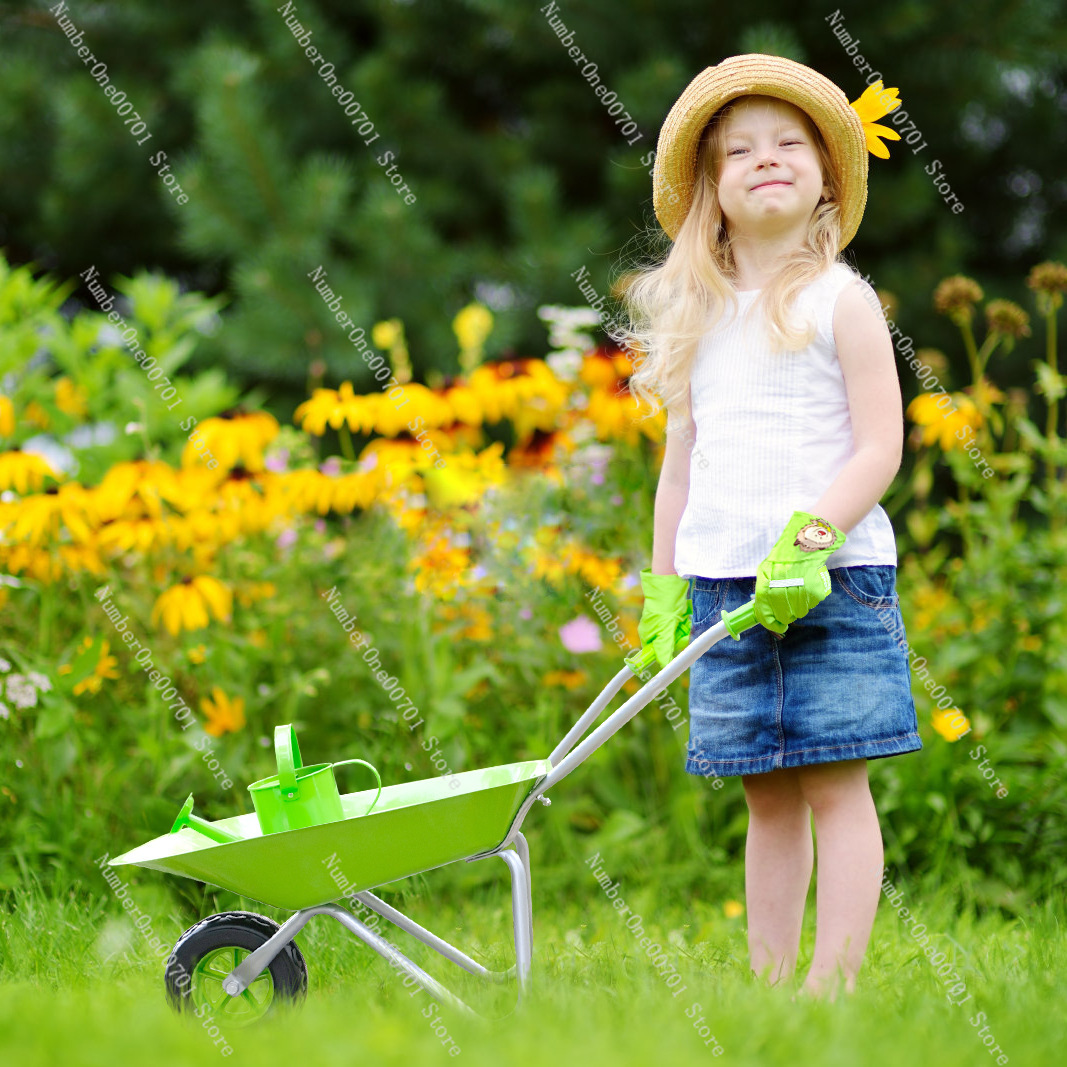 Kids Outdoor Wheelbarrow, Gree - Kids Outdoor Activity Toys recensie en prijs